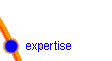 expertise